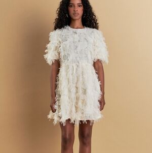 Endless Rose Textured Mesh Mini Dress